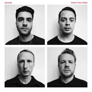 Goose -  What You Need